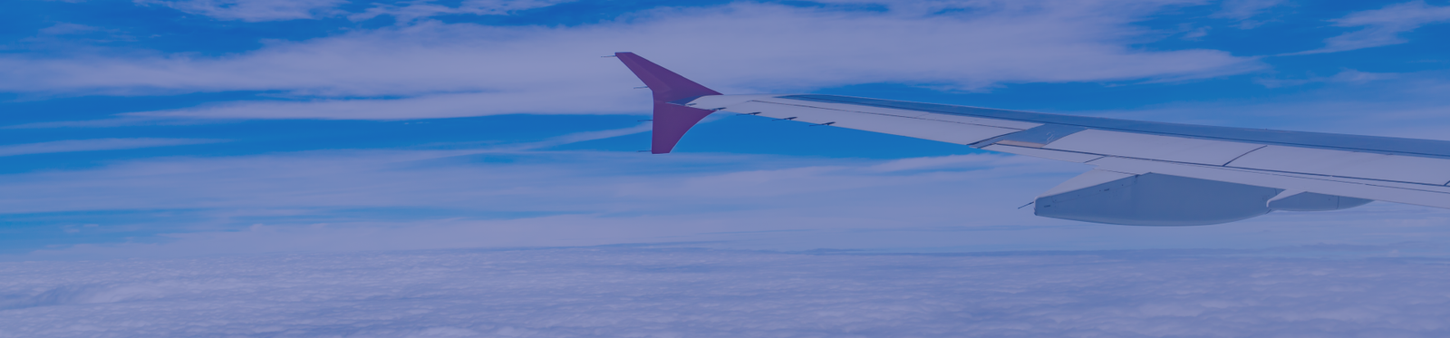 hôtesse de l'air
